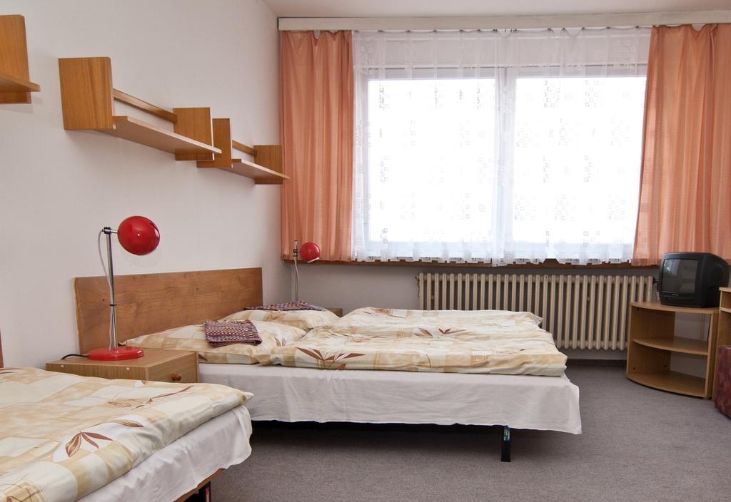 ホテルDomov Mladeze A Skolni Jidelna カルロヴィ・ヴァリ 部屋 写真